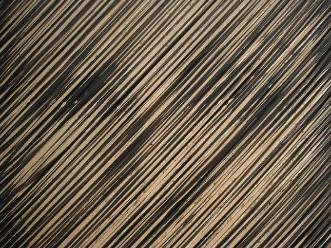 The Veil_Amsterdam_NS Rajan